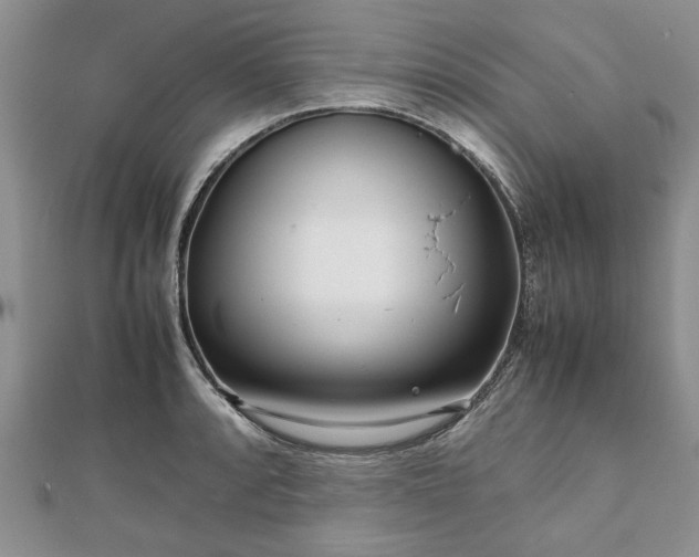 X0000111841088200907301045