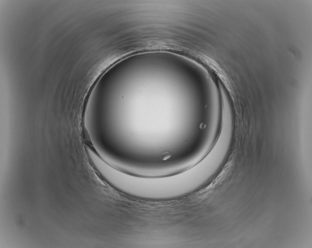 X0000111841089200907301045