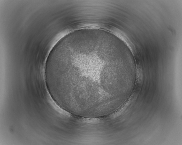 X0000111841090200907301045