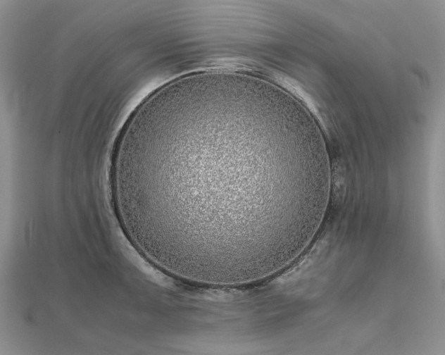 X0000111841091200907301045