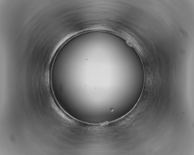 X0000111841092200907301045