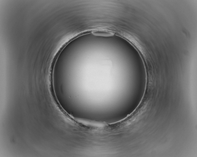 X0000111841093200907301045