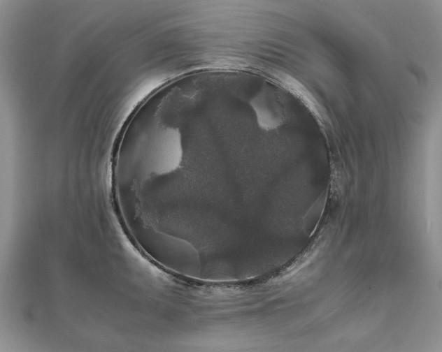 X0000111841095200907301045