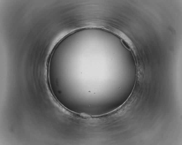 X0000111841096200907301045