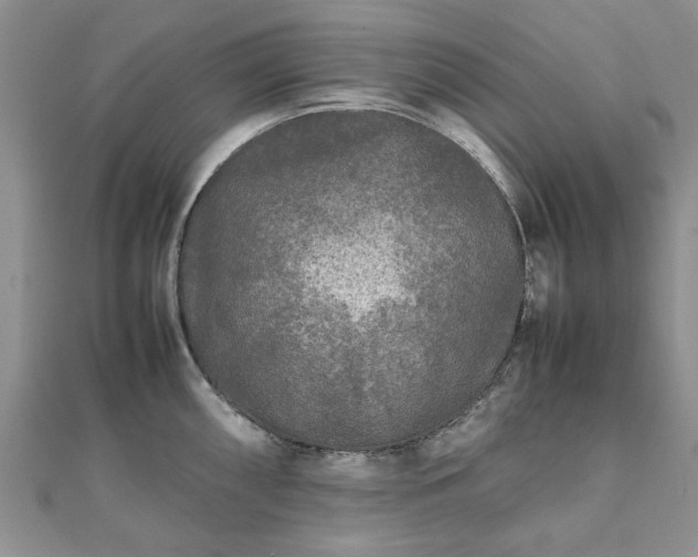 X0000111841098200907301045