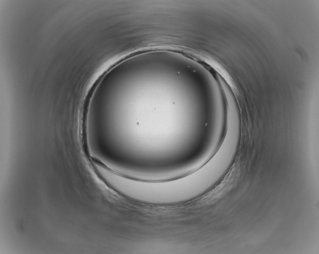 X0000111841101200907301045