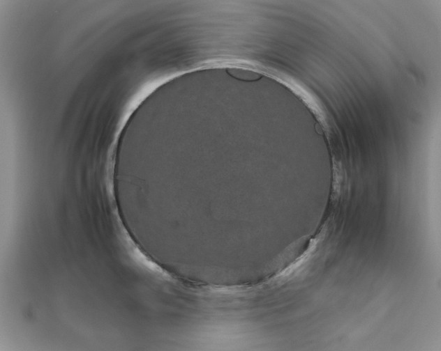 X0000111841102200907301045