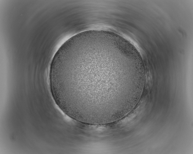 X0000111841103200907301045