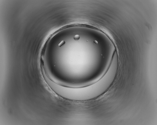 X0000111841104200907301045