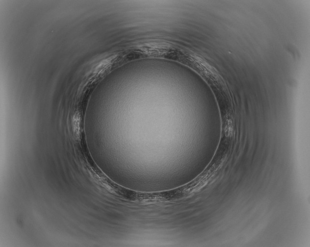 X0000111841108200907301044