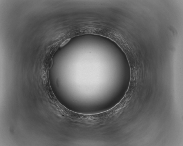 X0000111841109200907301044