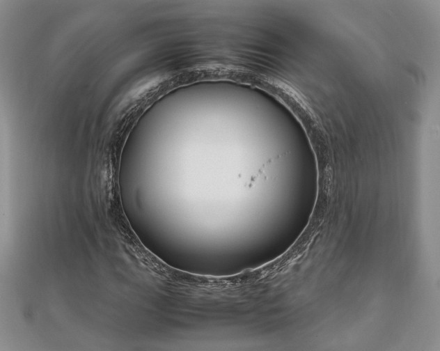 X0000111841111200907301044