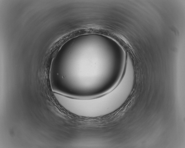 X0000111841112200907301044