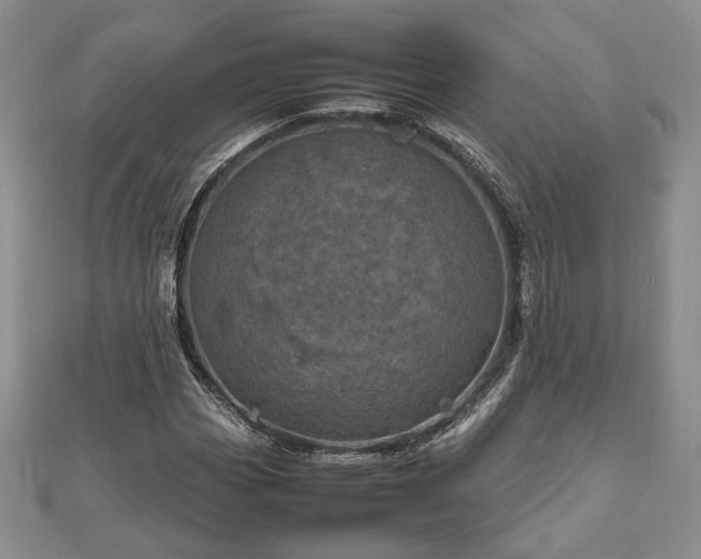 X0000111841113200907301044