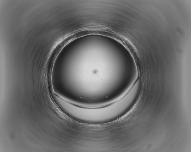 X0000111841114200907301044