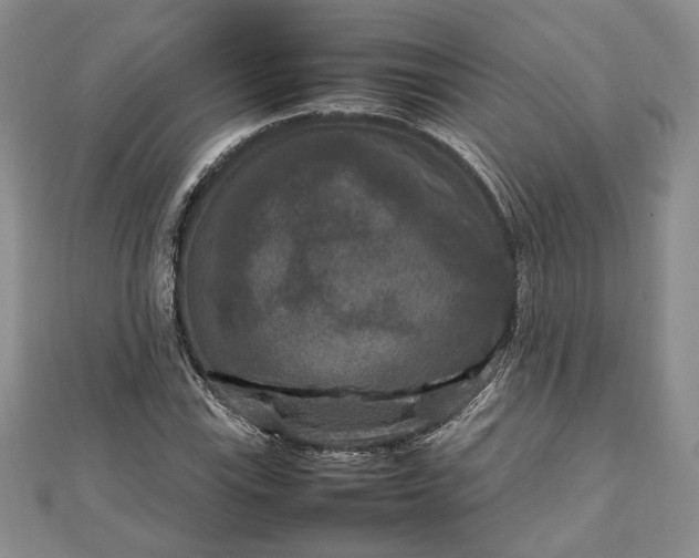 X0000111841115200907301044