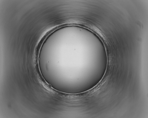 X0000111841116200907301044