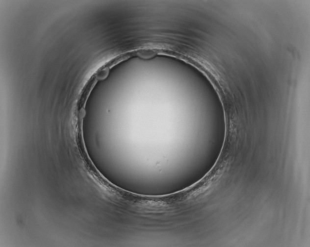 X0000111841119200907301044