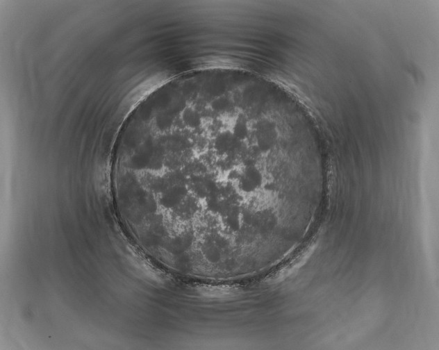 X0000111841121200907301044