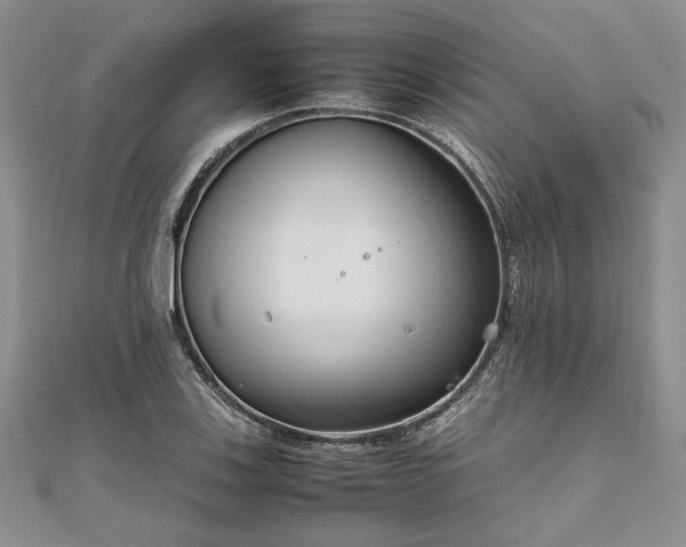 X0000111841123200907301044