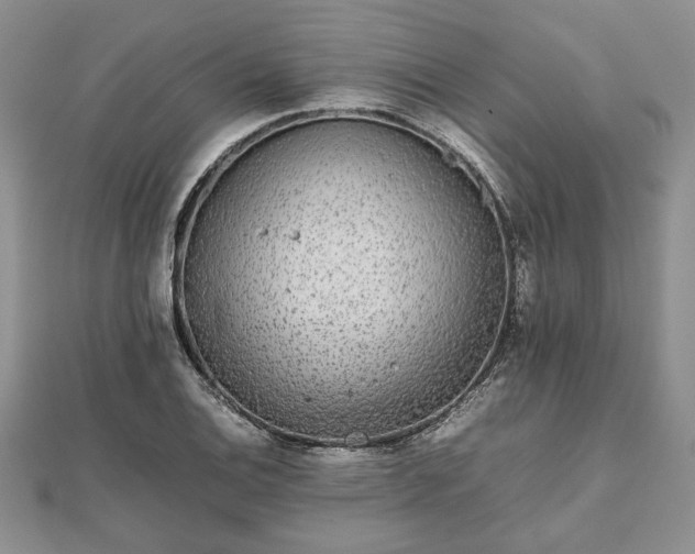 X0000111841124200907301044