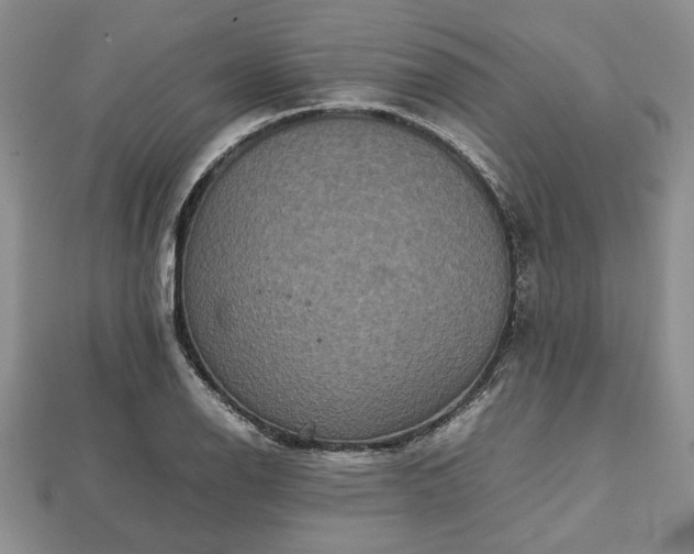 X0000111841126200907301044