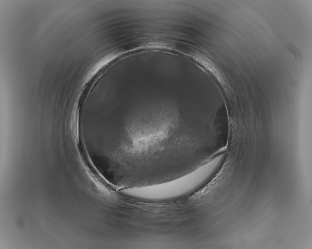 X0000111841127200907301044