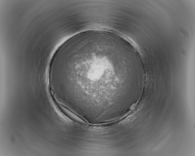 X0000111841128200907301044