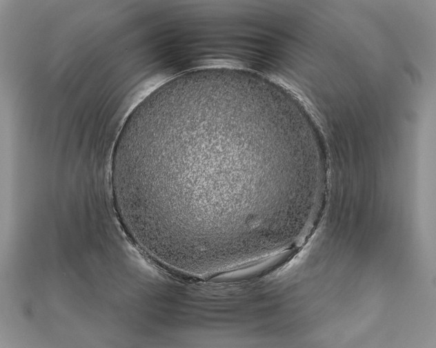 X0000111841129200907301044