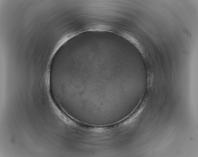 X0000111841130200907301044