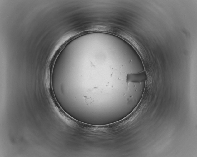 X0000111841131200907301044