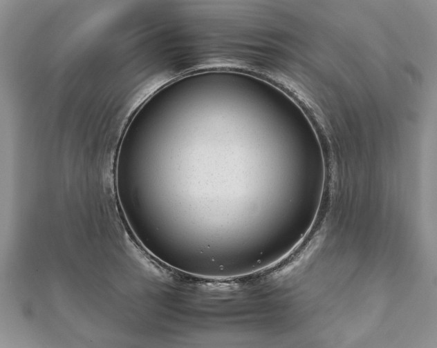 X0000111841137200907301044