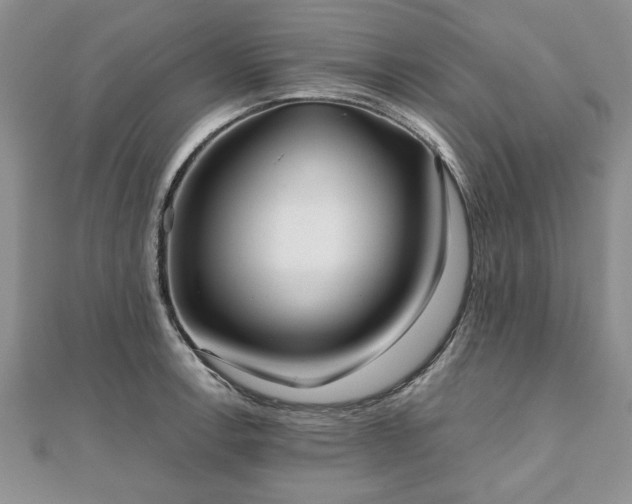 X0000111841138200907301044