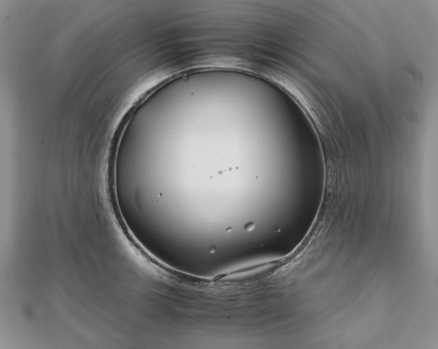 X0000111841139200907301044