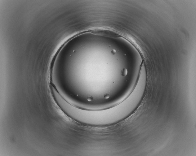 X0000111841140200907301045