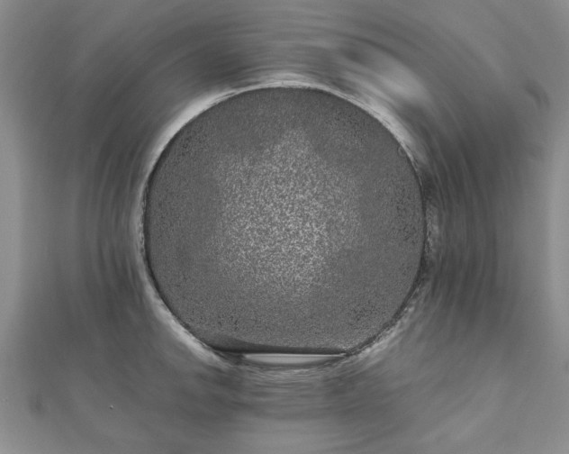 X0000111841142200907301045