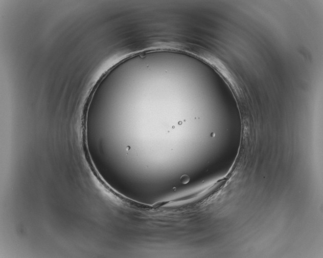 X0000111841143200907301045