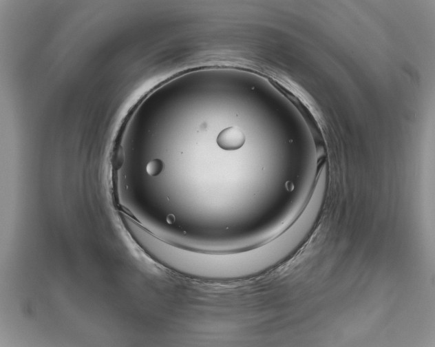 X0000111841144200907301045