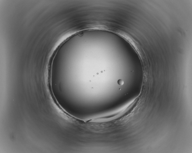 X0000111841147200907301045