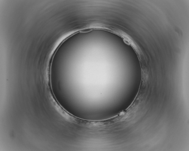 X0000111841148200907301045