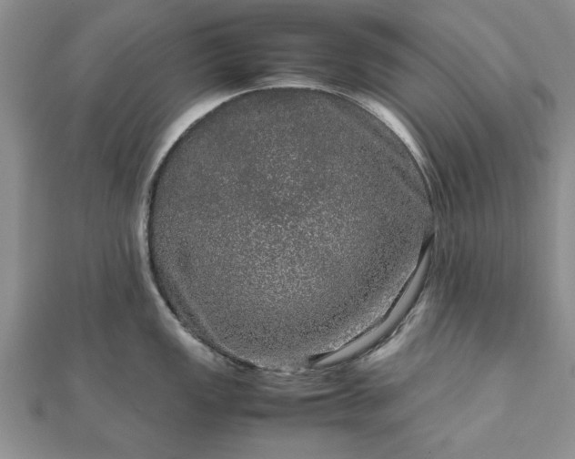 X0000111841149200907301045