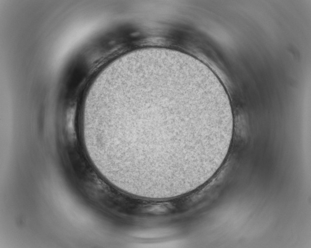 X0000111841150200907301045