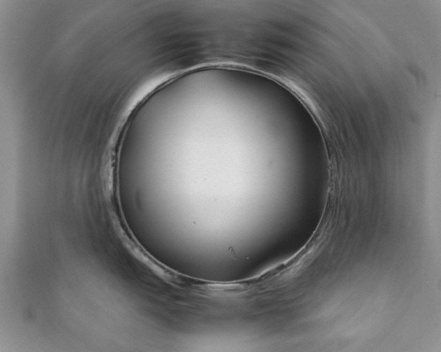 X0000111841151200907301045