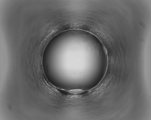 X0000111841153200907301044