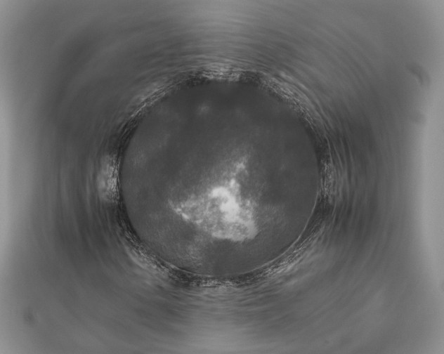 X0000111841154200907301044