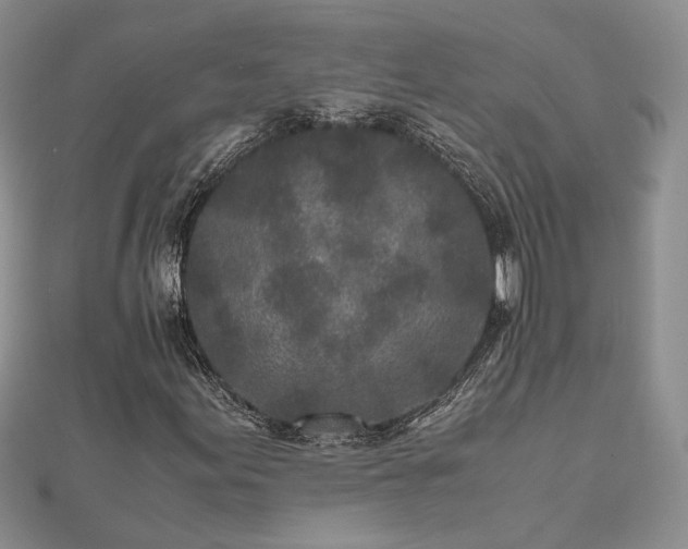 X0000111841155200907301044