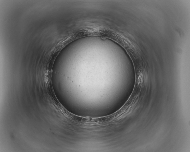 X0000111841156200907301044