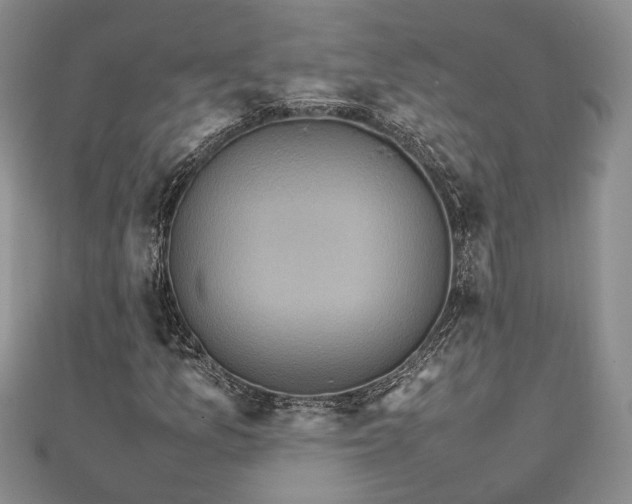 X0000111841157200907301044