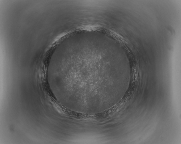 X0000111841158200907301044