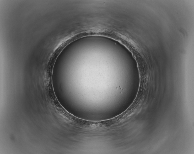 X0000111841160200907301044